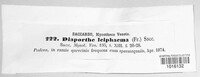 Diaporthe leiphaema image